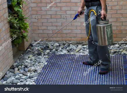 Termite control treatment